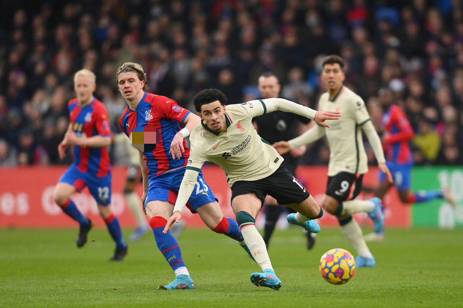 的重要因素 的重要因素